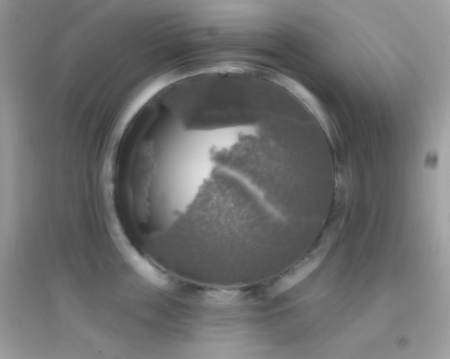 X0000095110859200712071215