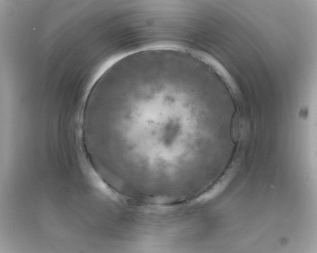 X0000095110860200712071215