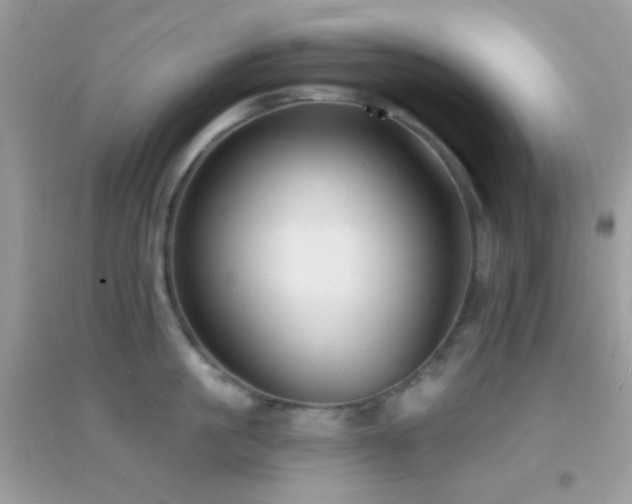 X0000095110861200712071215