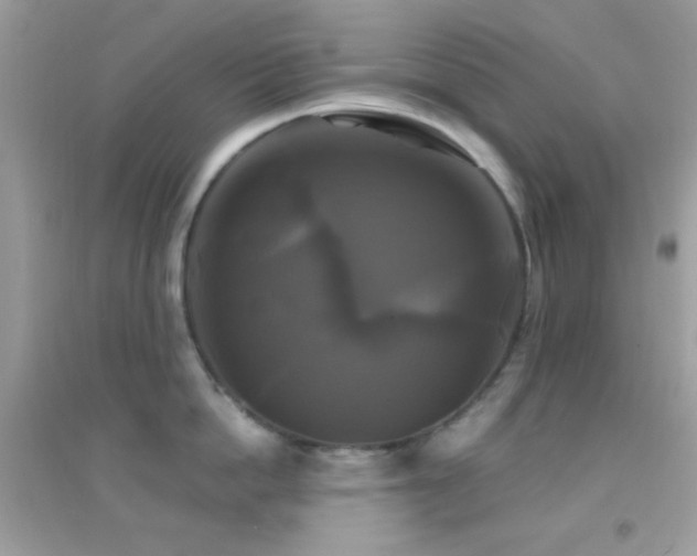 X0000095110862200712071215