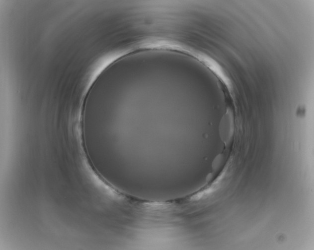 X0000095110863200712071215