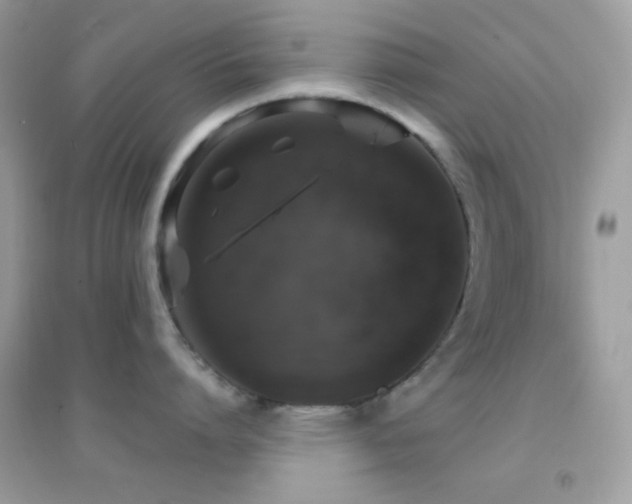 X0000095110864200712071215