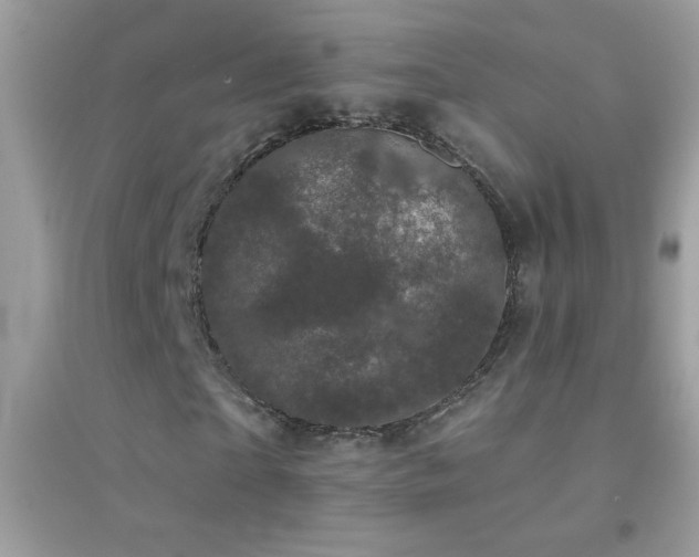 X0000095110865200712071215