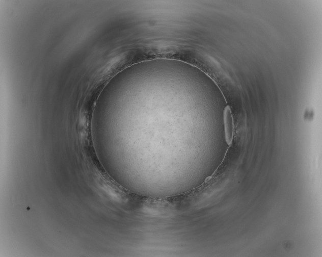 X0000095110866200712071215