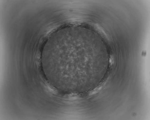 X0000095110867200712071215