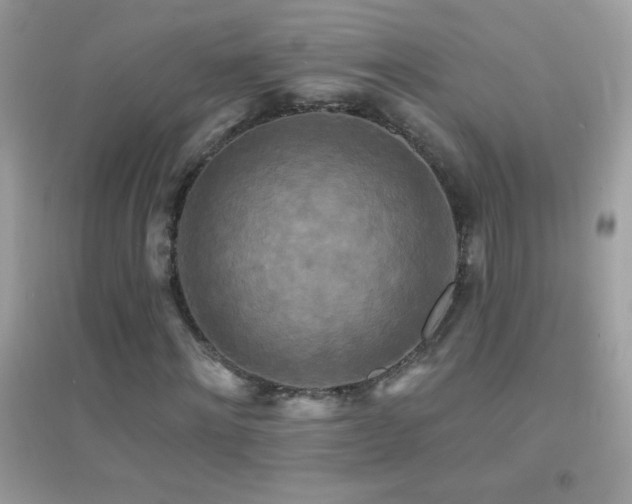 X0000095110868200712071215