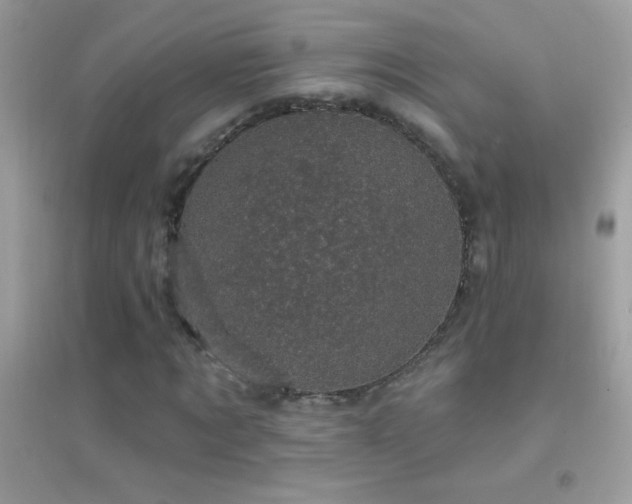 X0000095110869200712071215