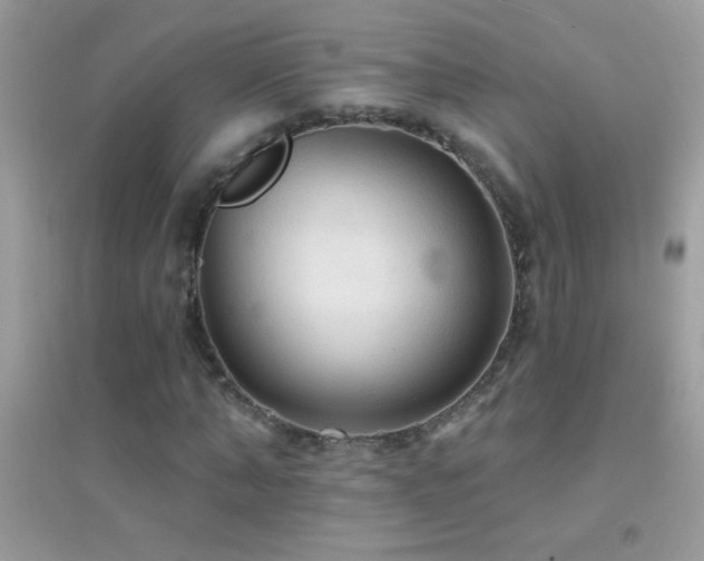 X0000095110870200712071215