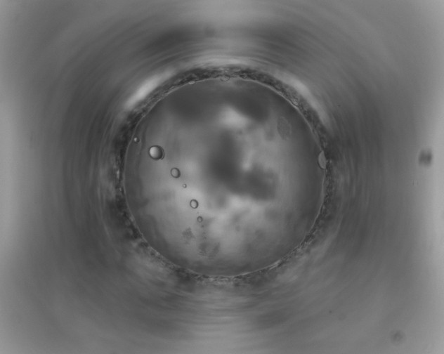 X0000095110871200712071215