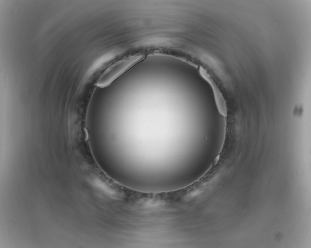 X0000095110872200712071215