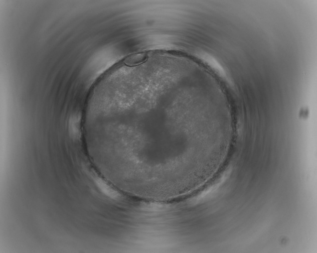 X0000095110873200712071215