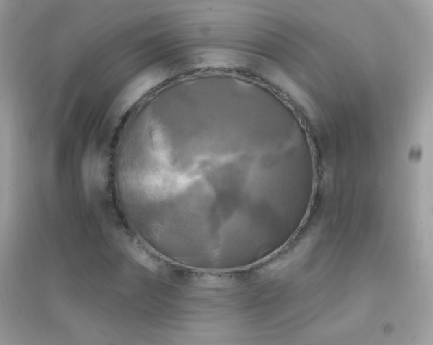 X0000095110874200712071215