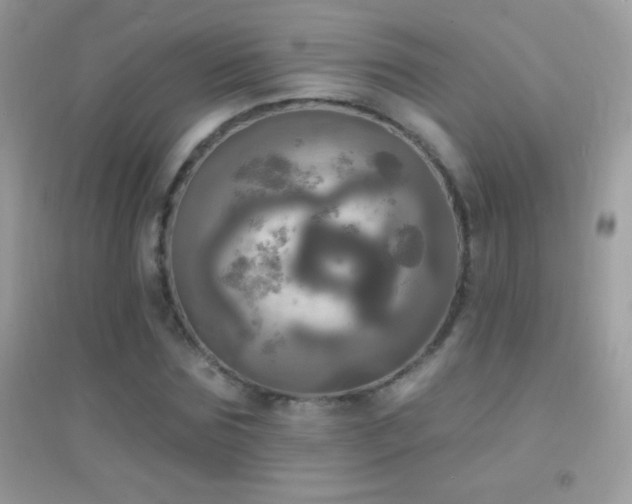 X0000095110875200712071215