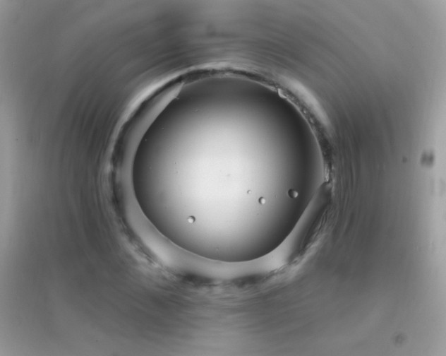 X0000095110876200712071215