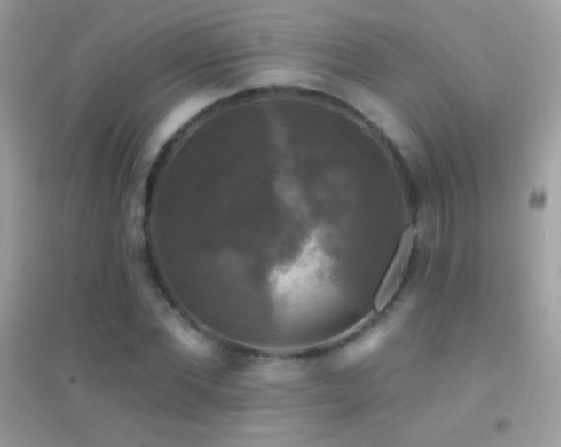 X0000095110877200712071215