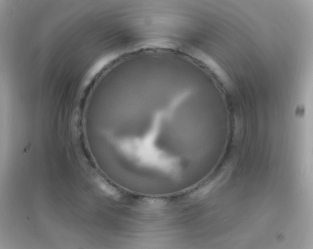 X0000095110878200712071215