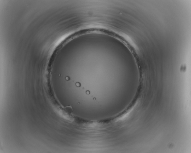 X0000095110879200712071215