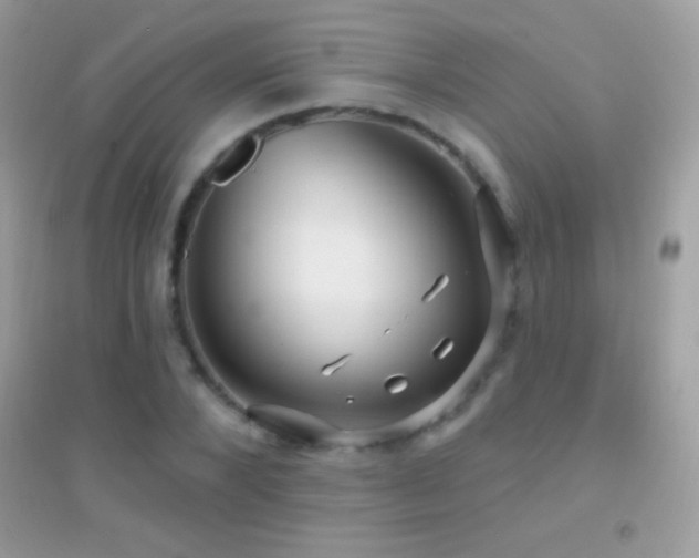 X0000095110880200712071215