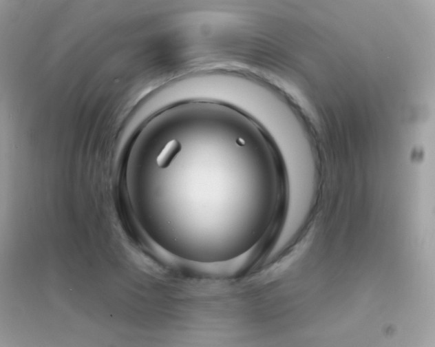 X0000095110881200712071215