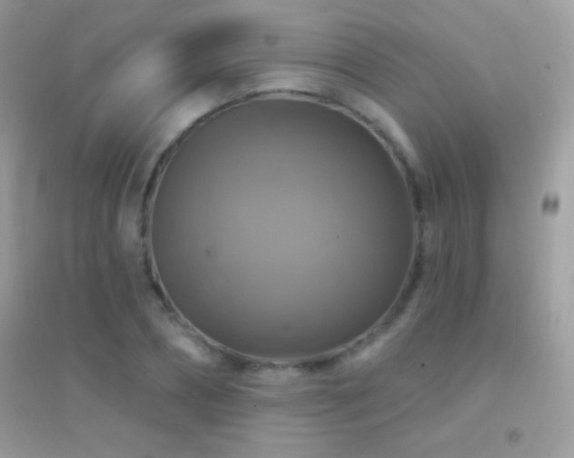 X0000095110882200712071215