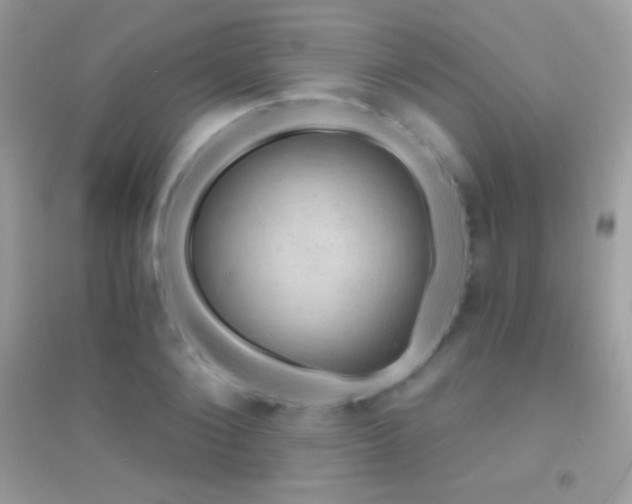 X0000095110884200712071214