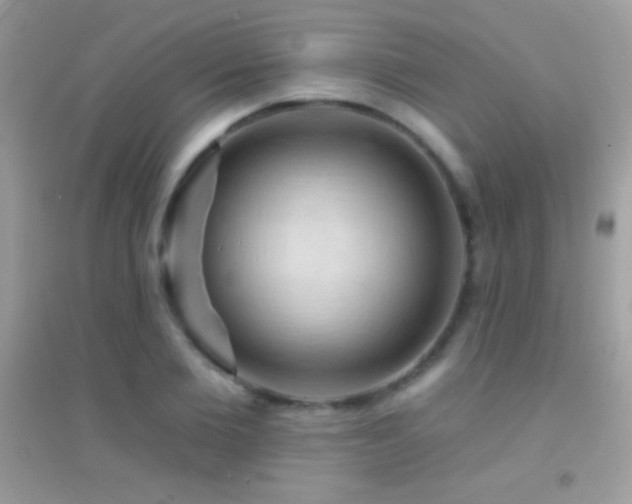 X0000095110885200712071214