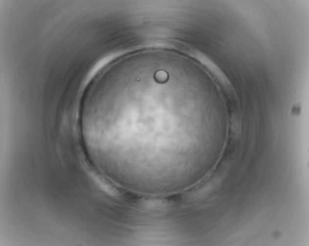 X0000095110886200712071214