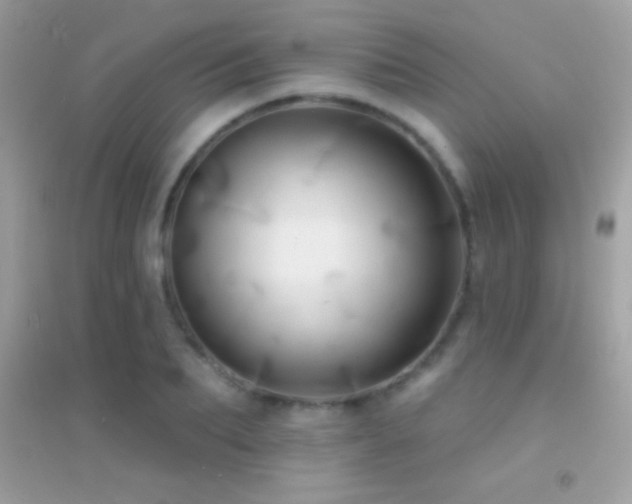 X0000095110887200712071214