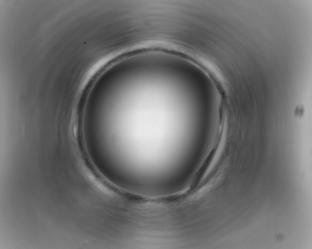 X0000095110888200712071214