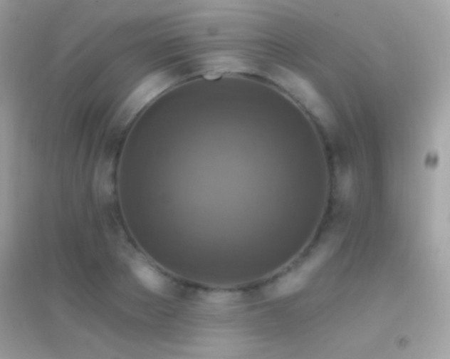 X0000095110889200712071214