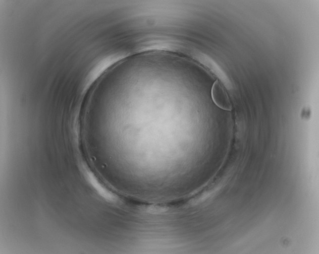 X0000095110890200712071214