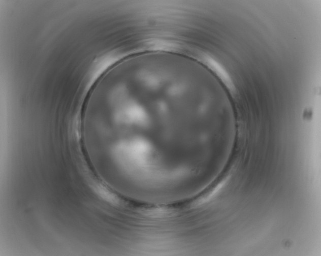 X0000095110891200712071214