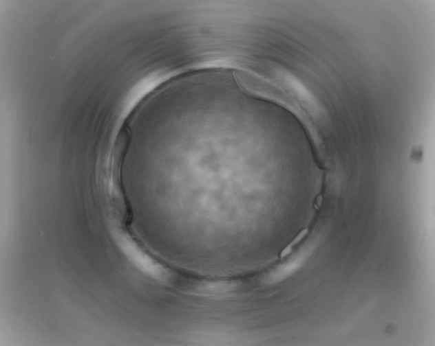 X0000095110892200712071214