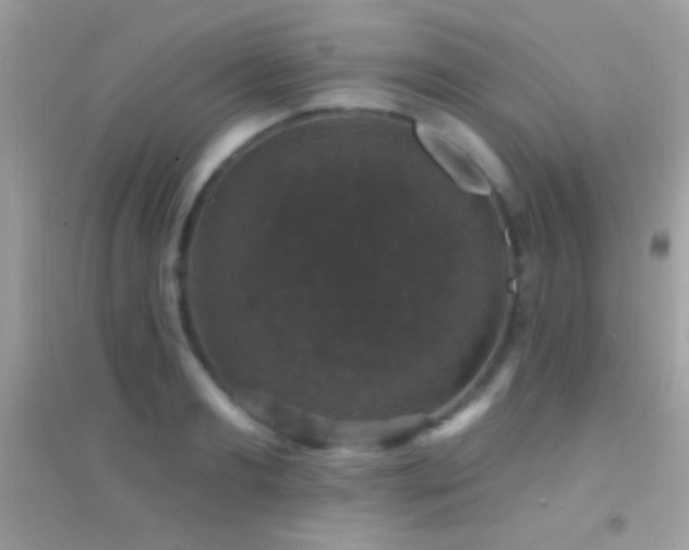 X0000095110893200712071214