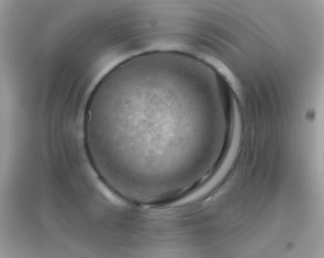 X0000095110894200712071214