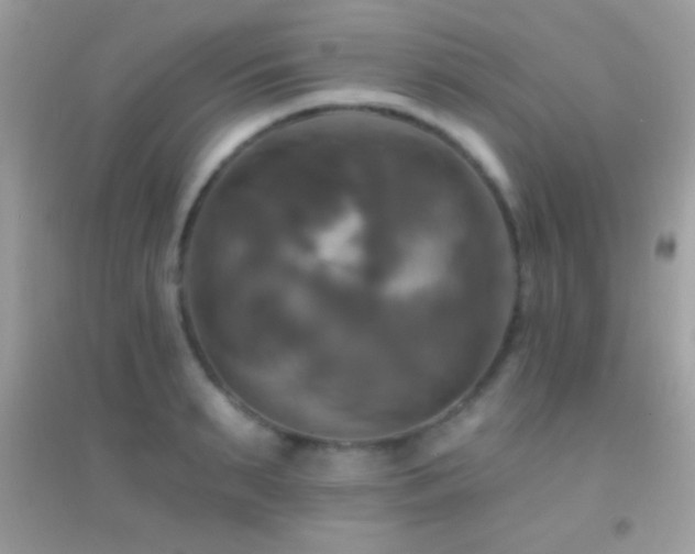 X0000095110895200712071214