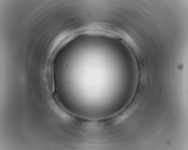 X0000095110896200712071214