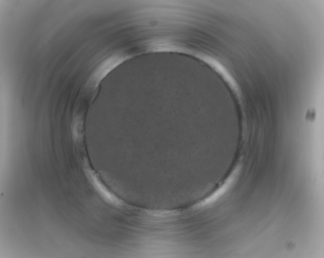 X0000095110897200712071214