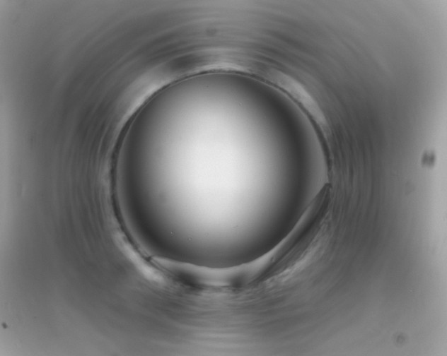 X0000095110898200712071214