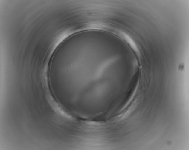 X0000095110899200712071214