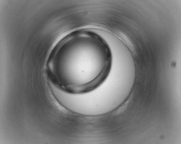 X0000095110900200712071214