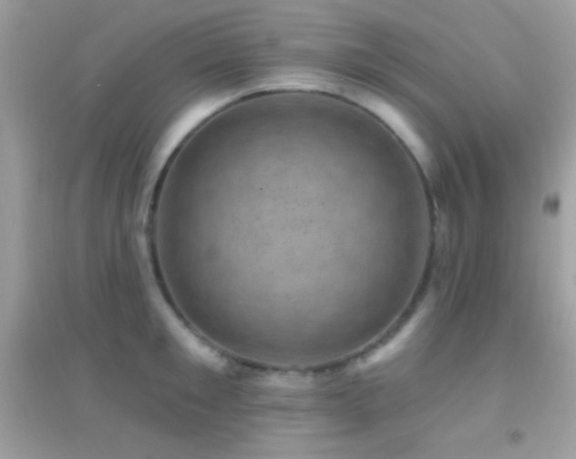 X0000095110901200712071214