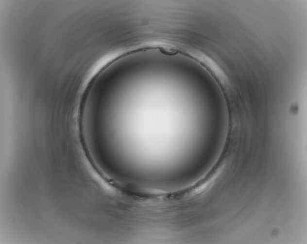 X0000095110902200712071214