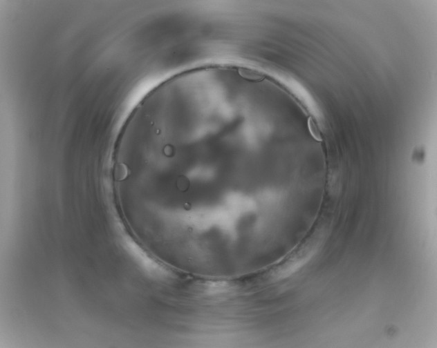 X0000095110903200712071214