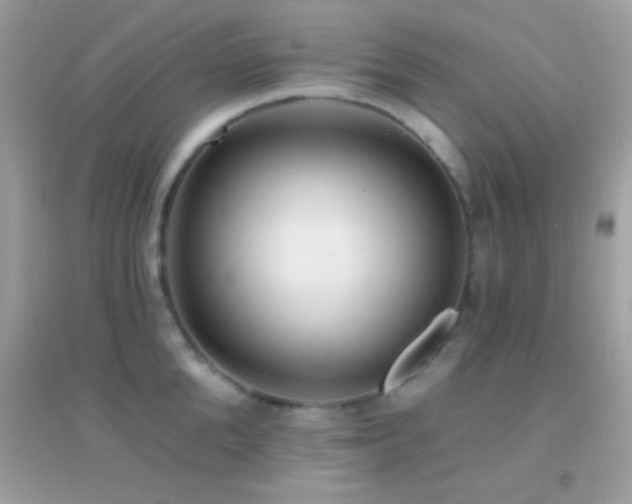 X0000095110904200712071214