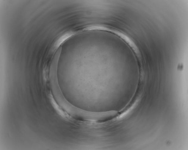 X0000095110905200712071214