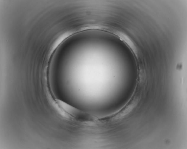 X0000095110906200712071214