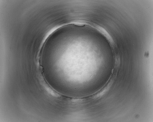 X0000095110908200712071214