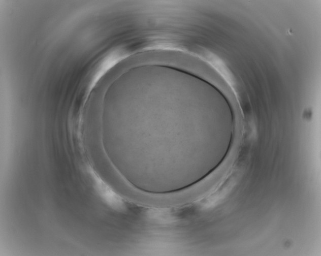 X0000095110909200712071214