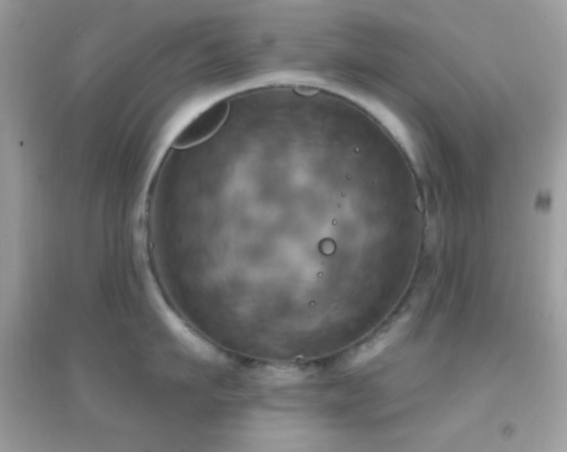 X0000095110911200712071214